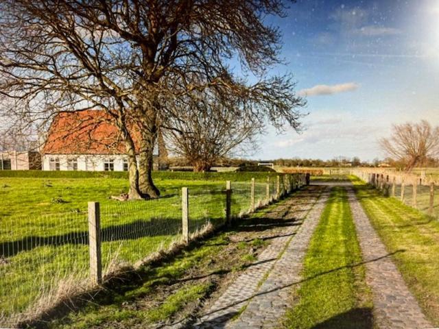 Schravenhoek Met Indoorzwembad En Sauna 弗尔内 外观 照片